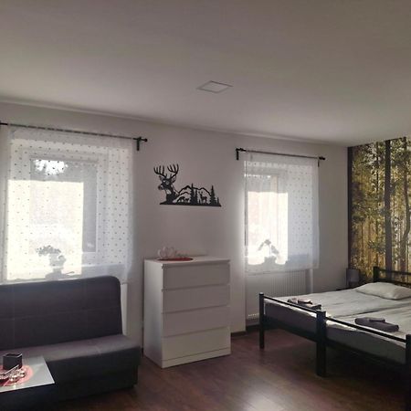 Agroturystyka Pod Niebieskim Dachem Siedlecin Extérieur photo
